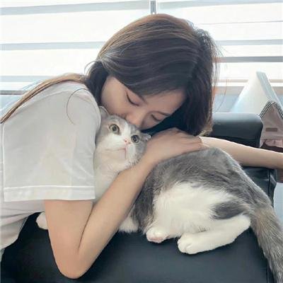 热斗小斑马